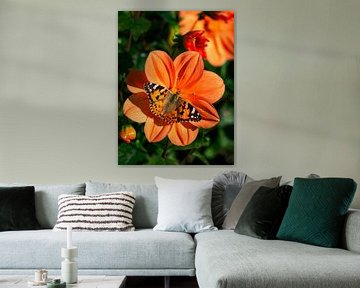 Dahlia Oranje Butterfly van MireilleGPhotography