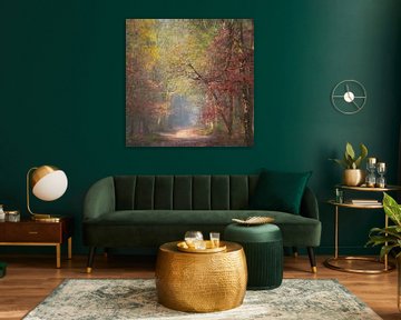 Autumn forest by Algon Photography
