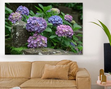 Impressionistische paarse bloemen