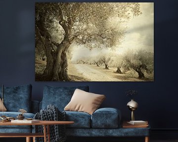 Klassieke olijfbomenlaan van Art & Soul Creations