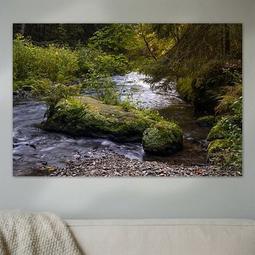 Die Polenz in der Sächsischen Schweiz