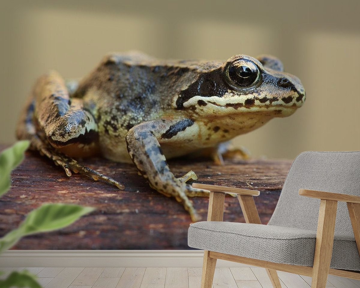 Raumvorschau