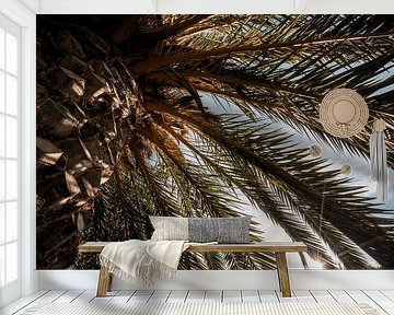 Under the Palm - Sunlight through Shady Leaves