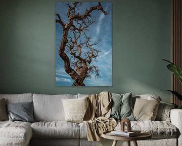 Kronkelende Boomtakken onder Blauwe Hemel van Femke Ketelaar