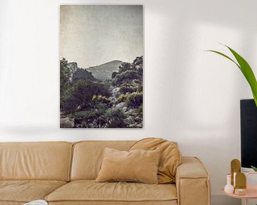 Plants in Landscape