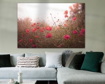 Wild poppies by Monique Zoutendijk