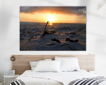 Branch in the sand with the sun