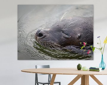 Nieuwsgierige Zeehond in de Oosterschelde van Wouter Triki Photography