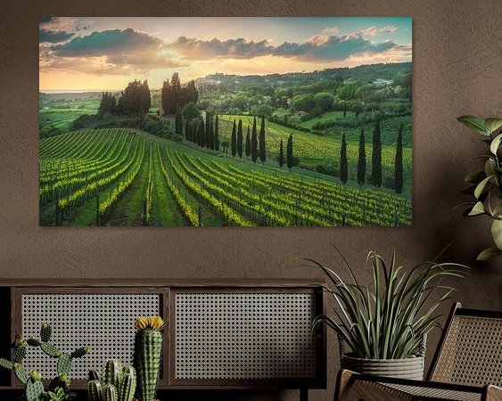 Aperçu de la chambre