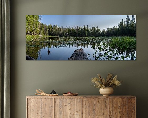 Aperçu de la chambre