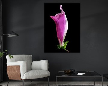 Purple Flower Abstract Low Poly