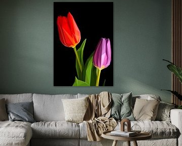 Red Tulip and Purple Tulip Low Poly by Yoga Art 15