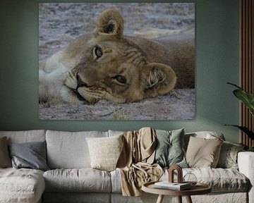 Resting Lion Cub  von Erica Thielen