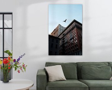 Ville de New York