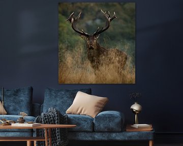 Bront Red deer by Gerrit van de Velde