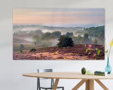 Posbank bij zonsopkomst