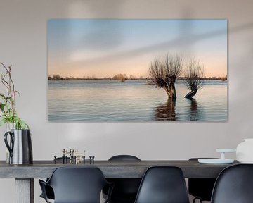 Hoog water aan de IJssel bij Gorssel van Gert van Eck