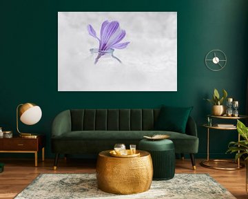 Power Flower