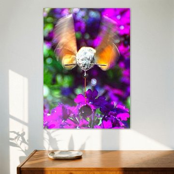 Honigtrinkender Kolibri-Schmetterling 