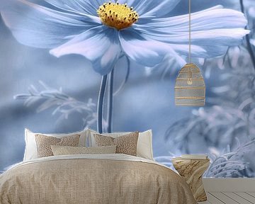 Cosmea von Violetta Honkisz