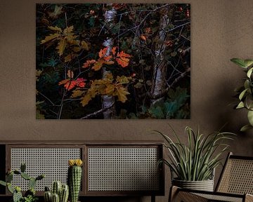 first autumn by snippefotografie