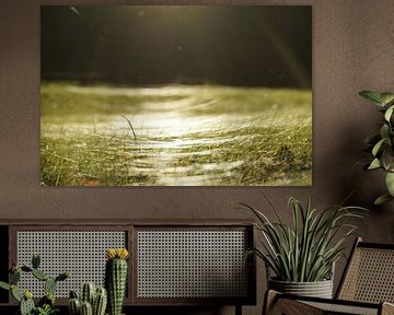 Light show for the evening by Fabian H