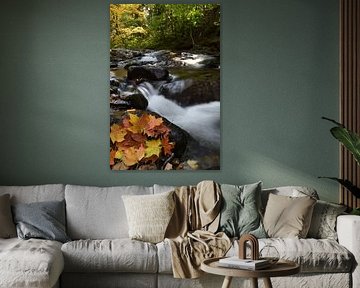Der Fluss im Herbst von Claude Laprise