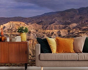 Wüstenlandschaft in Südspanien 3/5