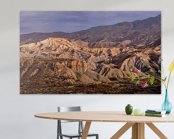 Woestijnlandschap in Zuid Spanje 3/5 van Adelheid Smitt
