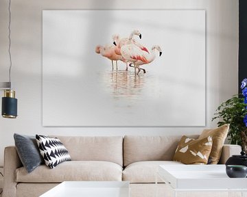 Flamingo von Incanto Images