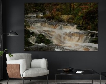 La Hoëgne in herfst kleuren