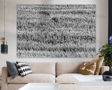 Where is Waldo? by Johannes Dittrich