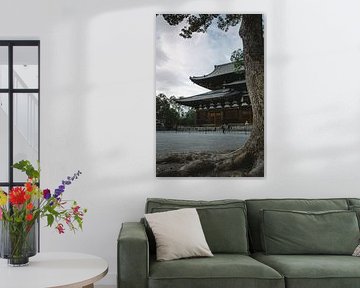 Kyoto