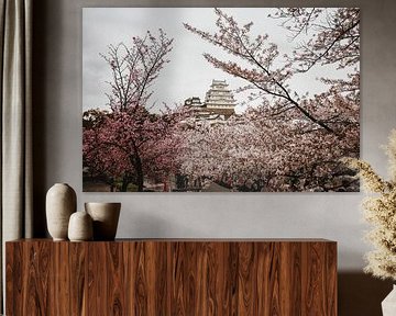 Kyoto