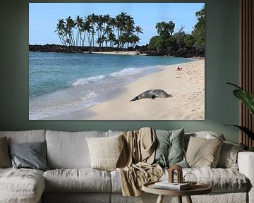 Hawaï