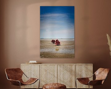 Low tide on the Malacca Sea: groves emerge by Frank Photos