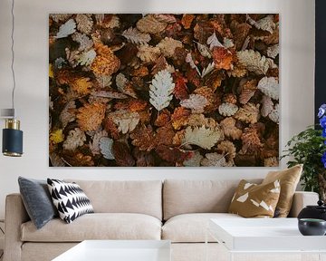 Autumn Vibes