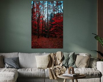 Autumn Vibes