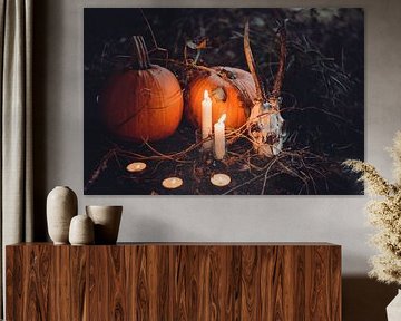 Autumn Vibes