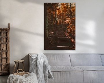 Autumn Vibes