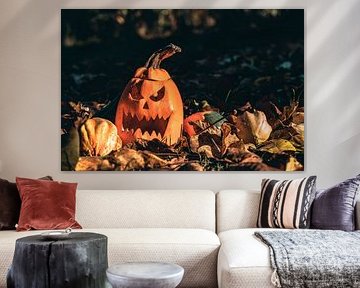 Autumn Vibes