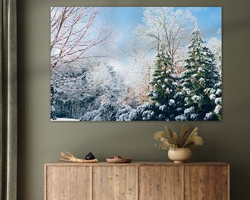Winter Vibes