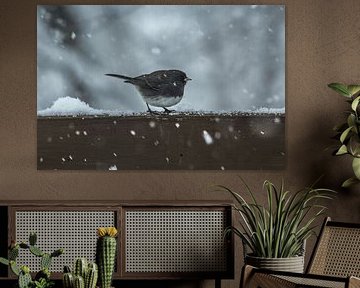 Winter Vibes