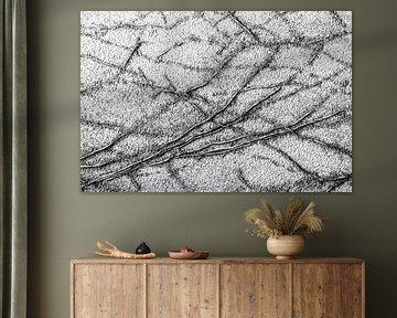 Linien in Schwarz und Weiß
