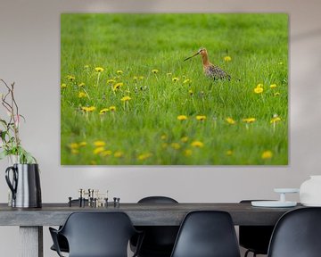 Grutto tussen de paardenbloemen van Friso Schinkel