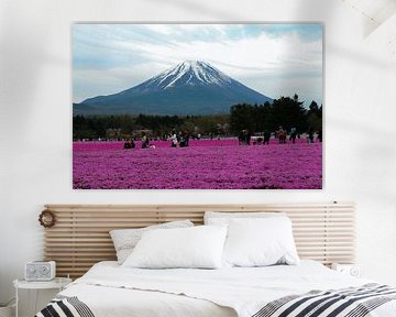 Mount Fuji