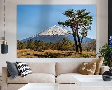 Mount Fuji