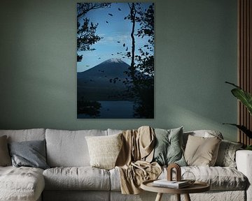Mount Fuji