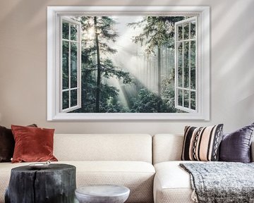 forest view from the living room