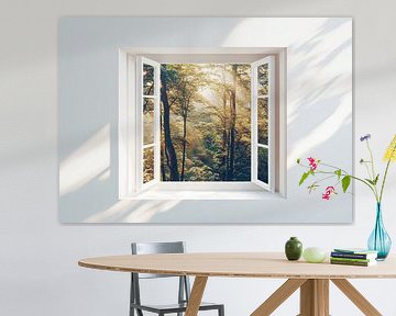 forest view from the living room